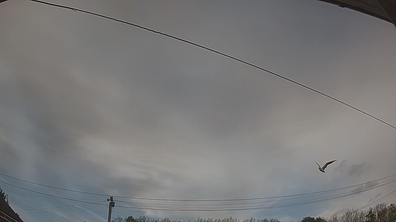 20260919_161738_cam2.jpg