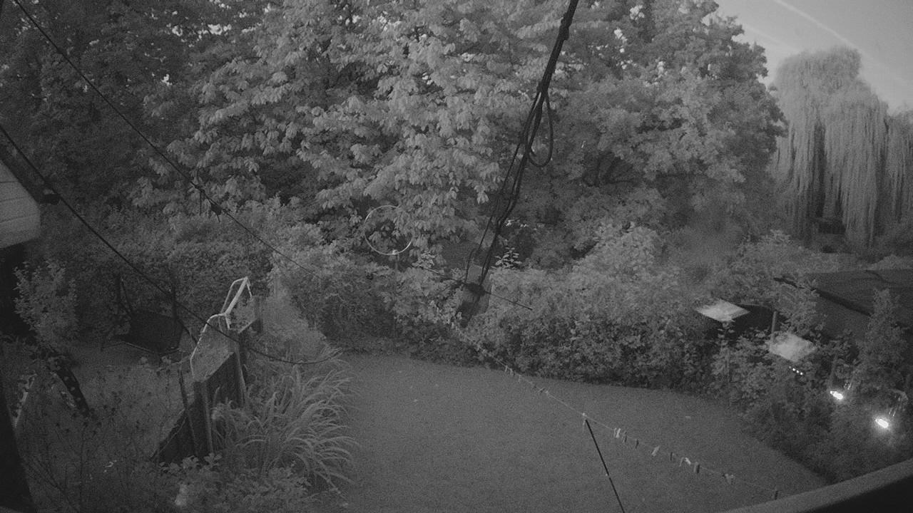 20260920_051651_cam1.jpg