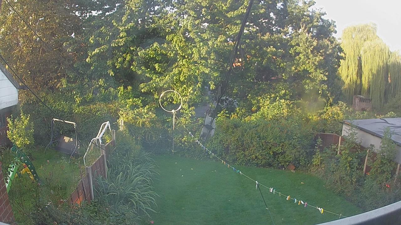 20260920_064743_cam1.jpg