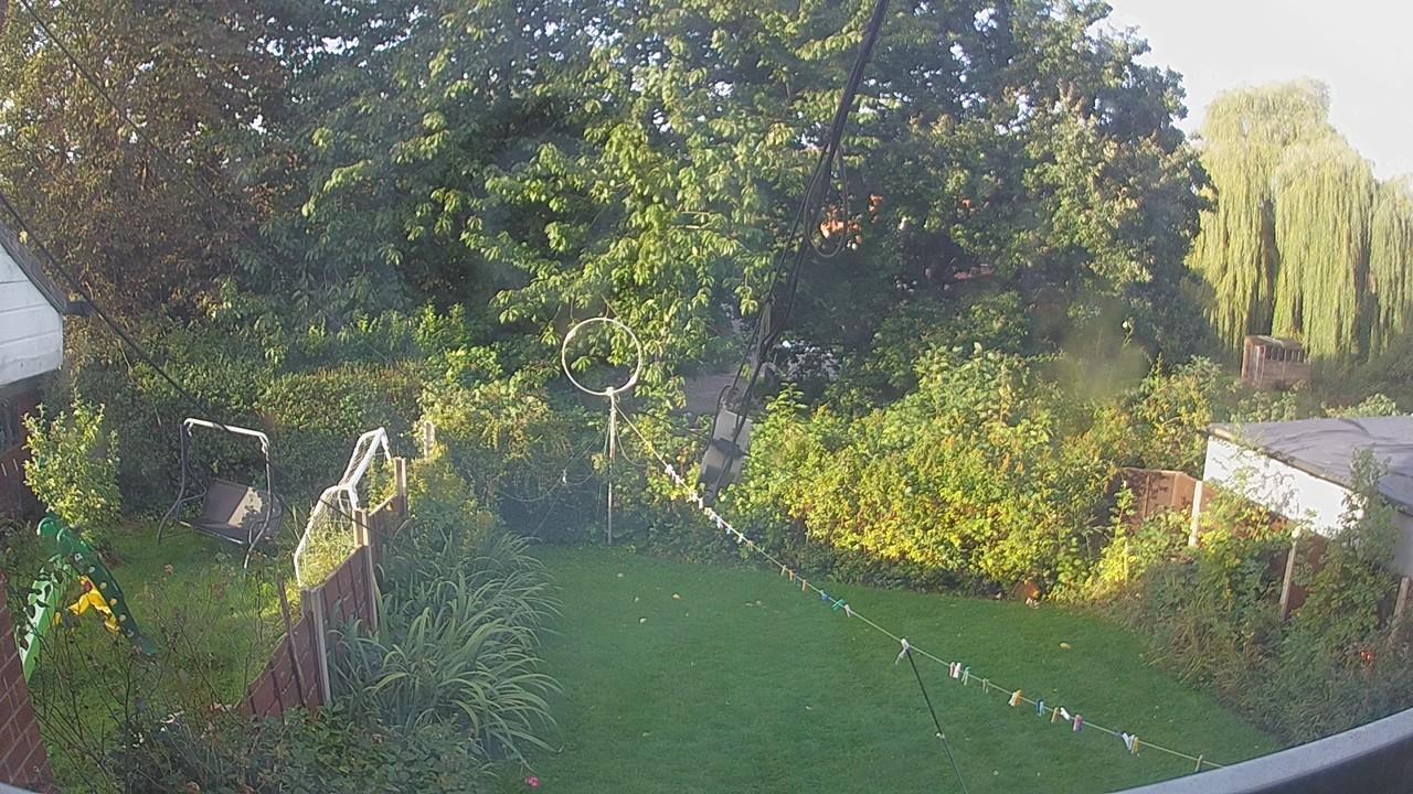 20260920_071032_cam1.jpg