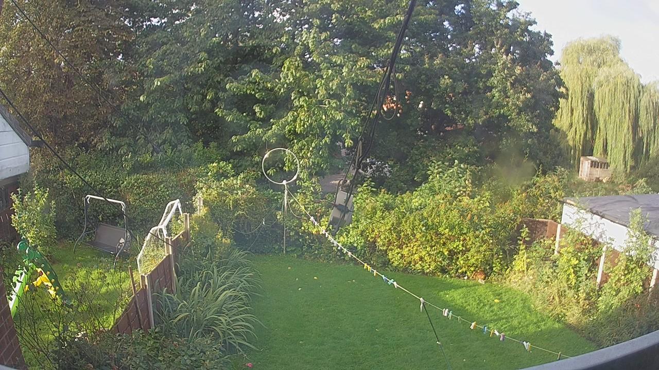 20260920_072948_cam1.jpg