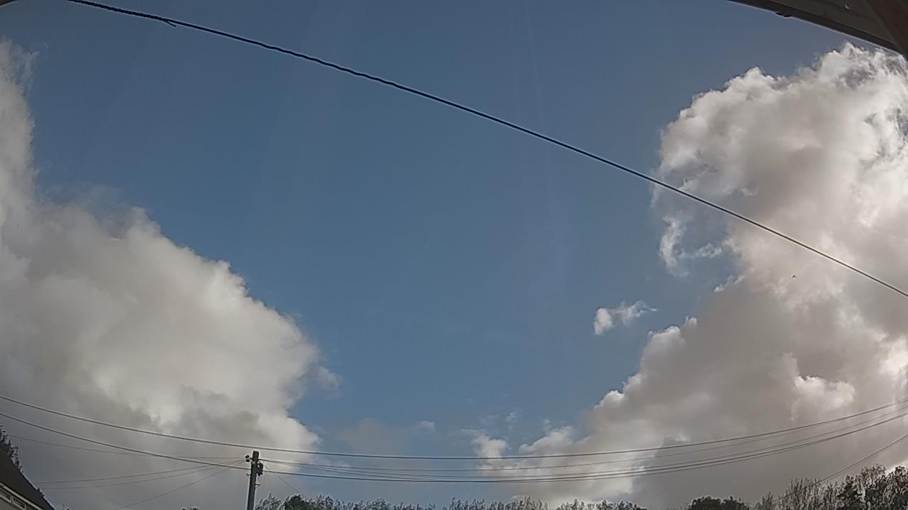 20260920_073341_cam2.jpg