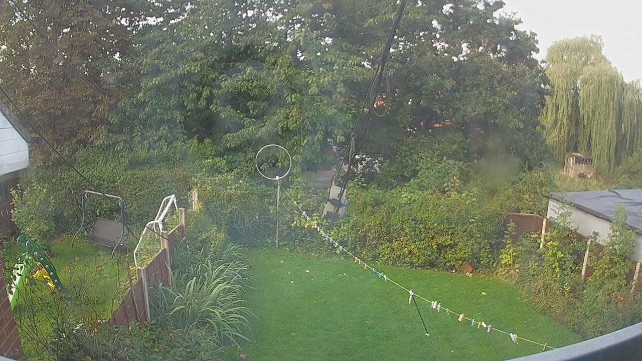20260920_073731_cam1.jpg
