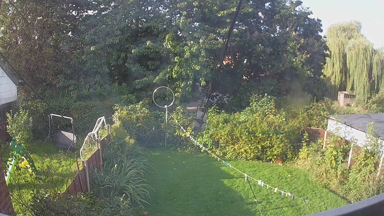 20260920_080028_cam1.jpg
