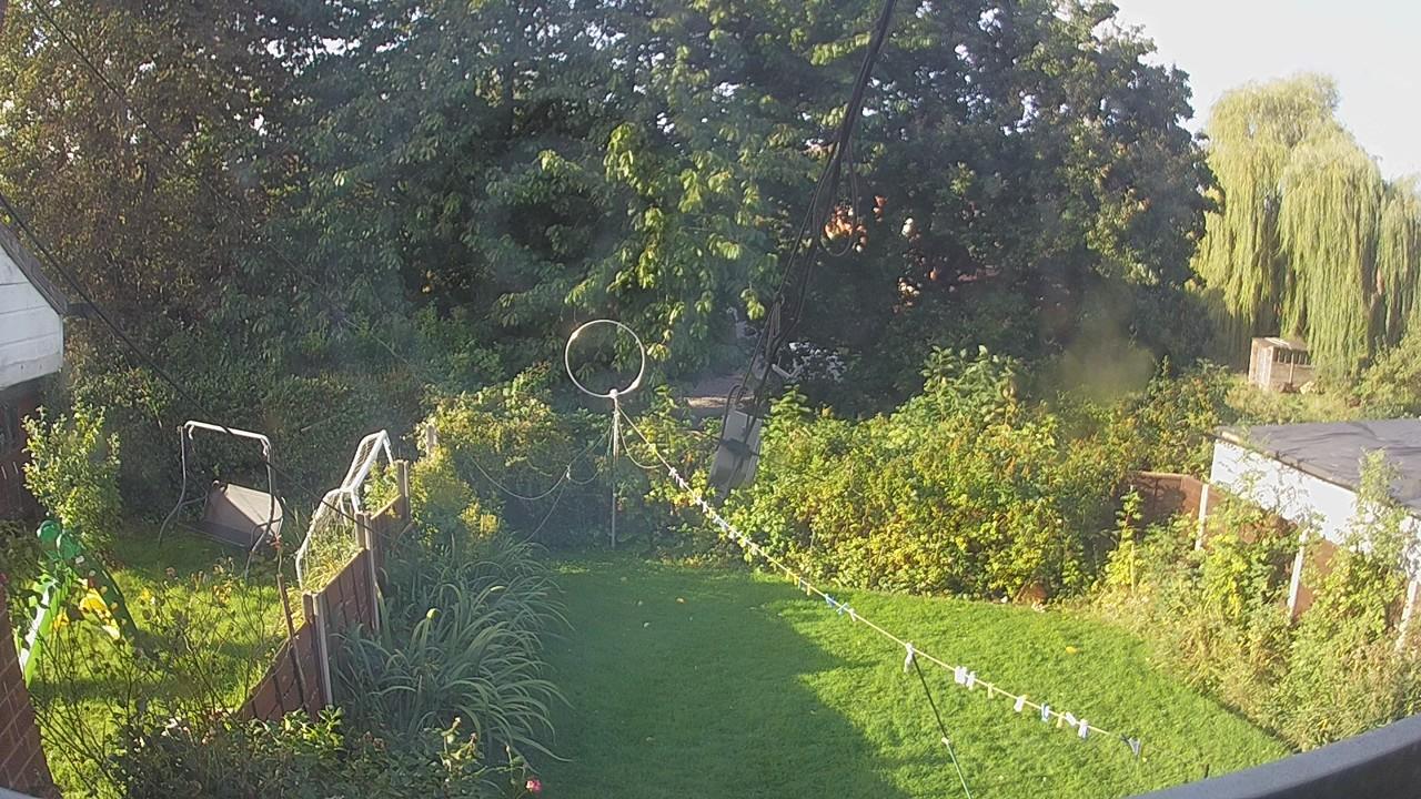 20260920_080752_cam1.jpg