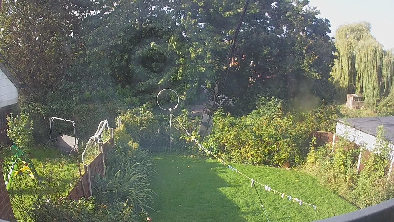 20260920_081136_cam1.jpg