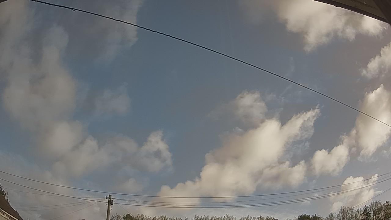 20260920_081522_cam2.jpg