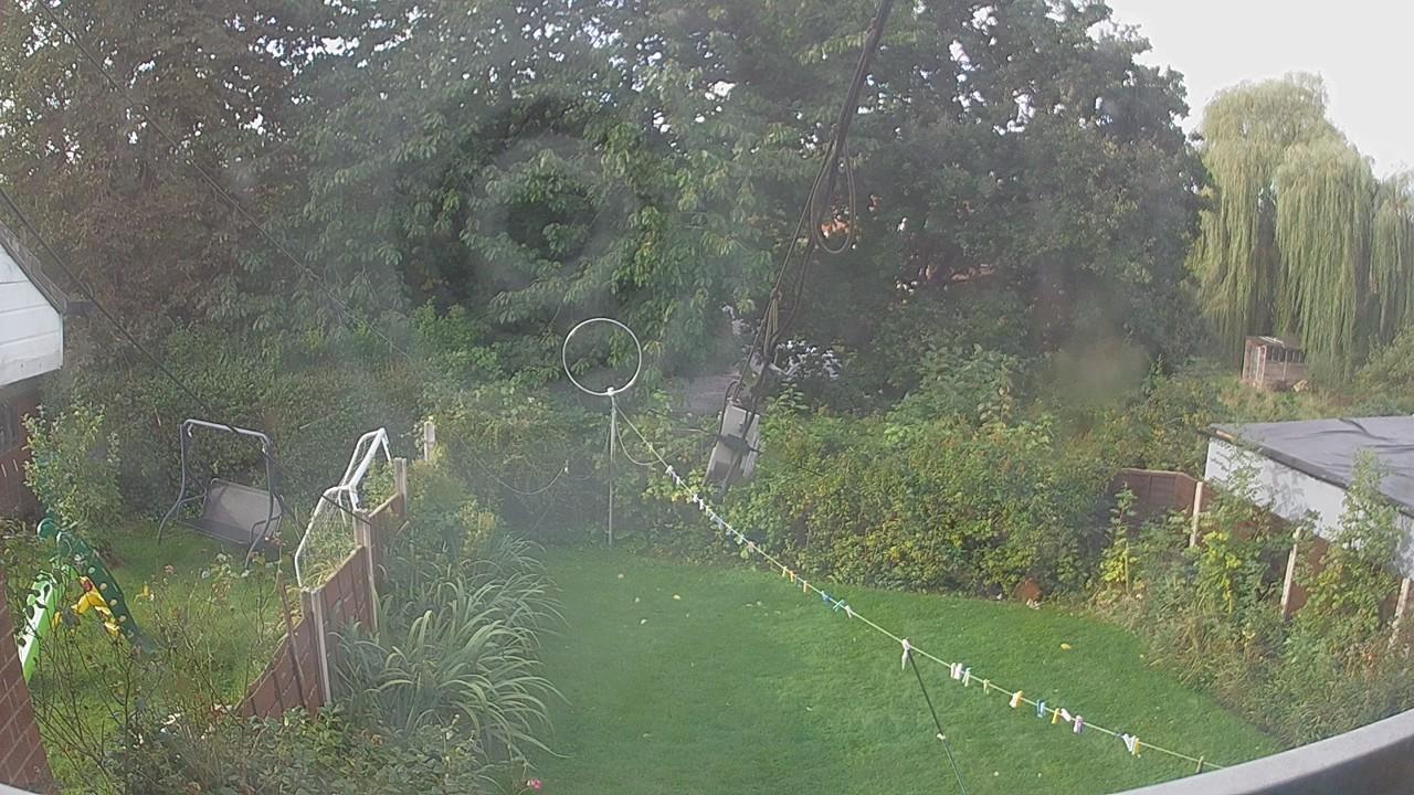 20260920_081903_cam1.jpg