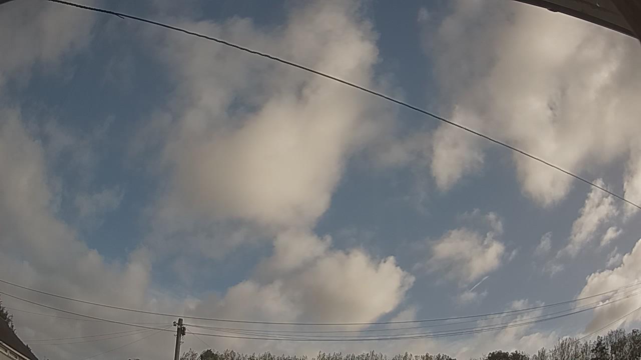 20260920_081904_cam2.jpg