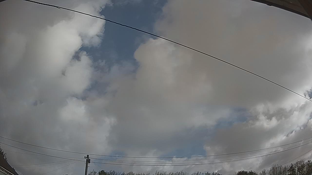 20260920_083000_cam2.jpg