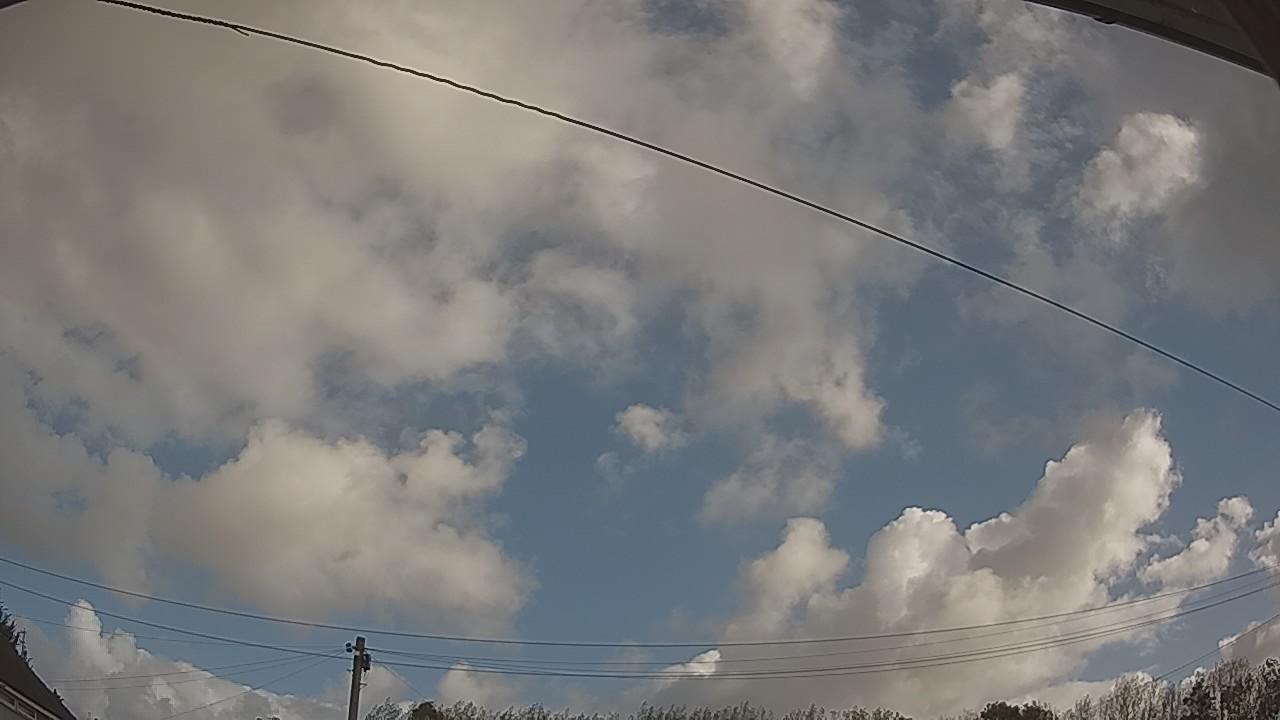 20260920_090134_cam2.jpg