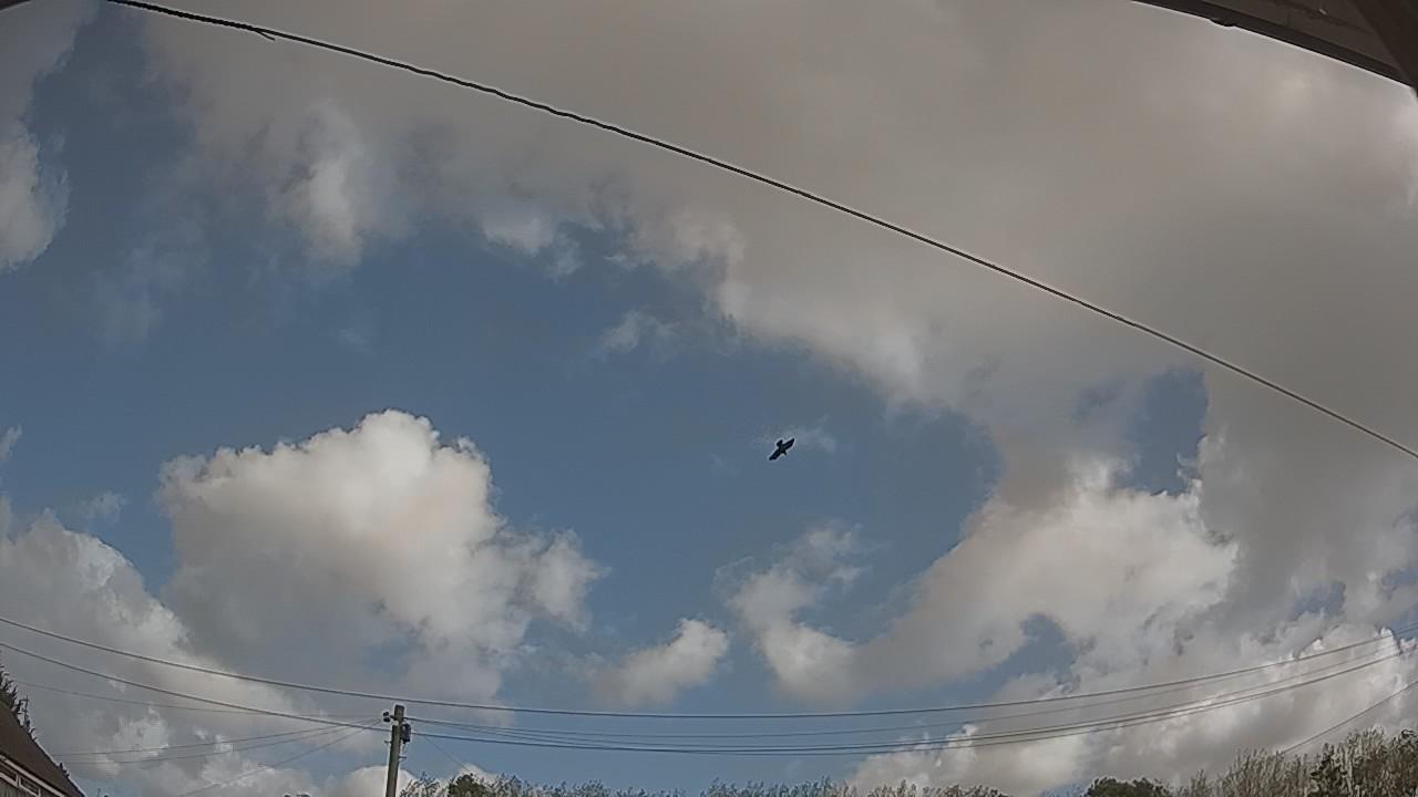 20260920_101111_cam2.jpg