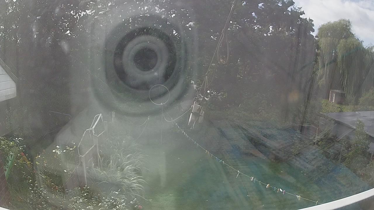 20260920_121710_cam1.jpg