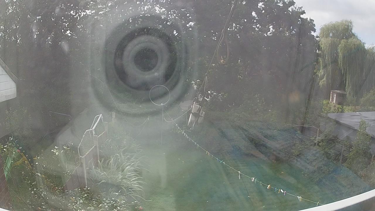 20260920_122016_cam1.jpg