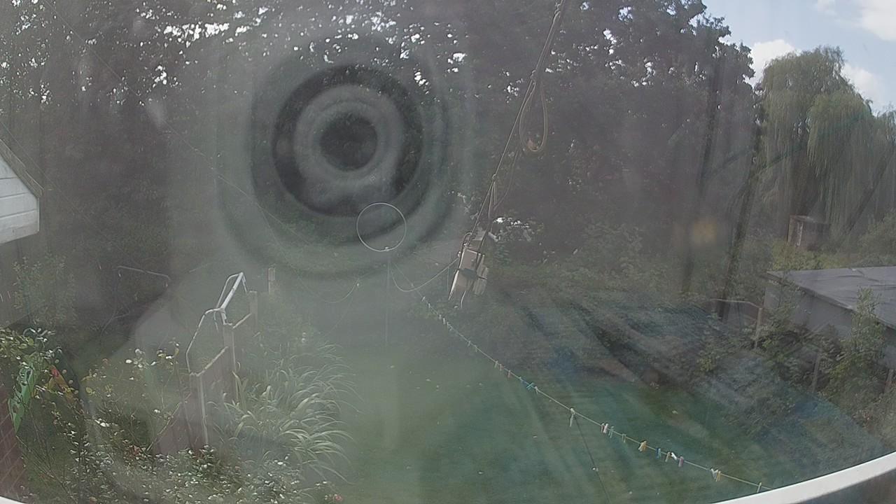 20260920_123222_cam1.jpg