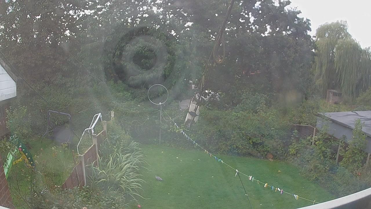 20260920_125600_cam1.jpg