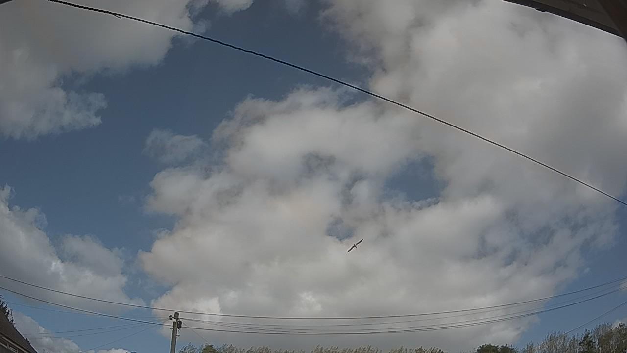 20260920_125849_cam2.jpg