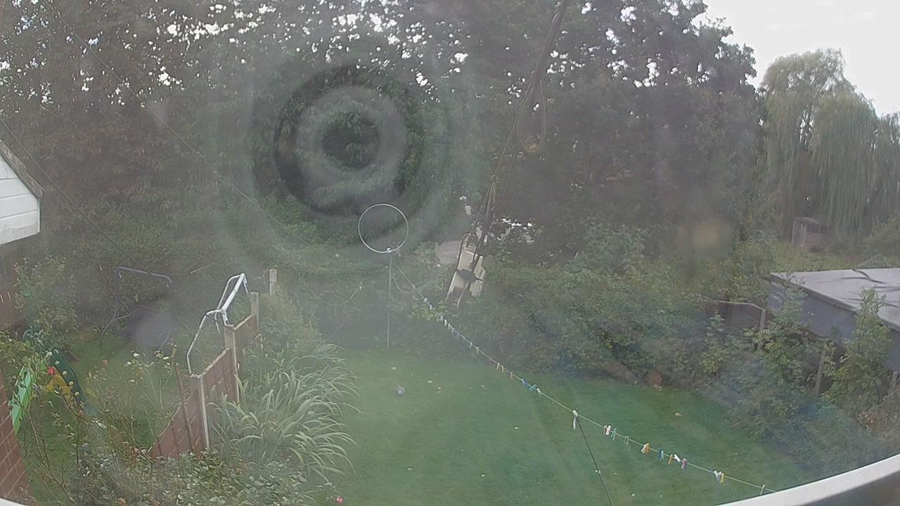 20260920_130135_cam1.jpg