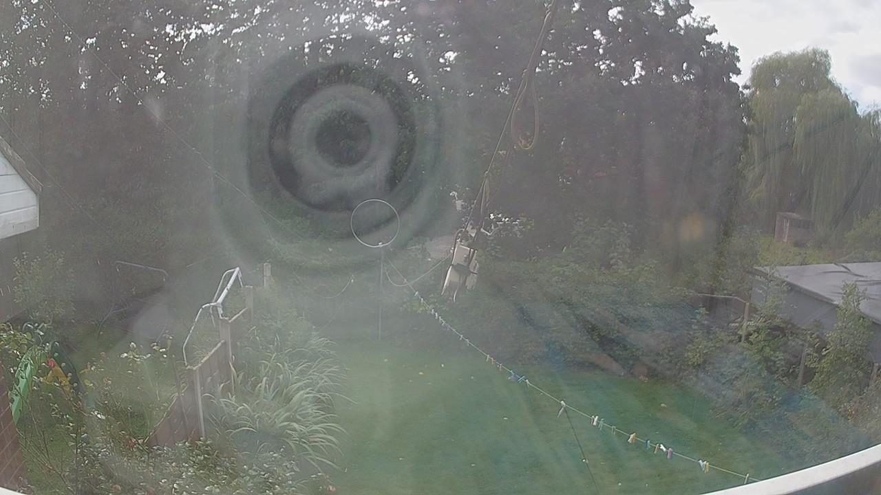 20260920_131000_cam1.jpg