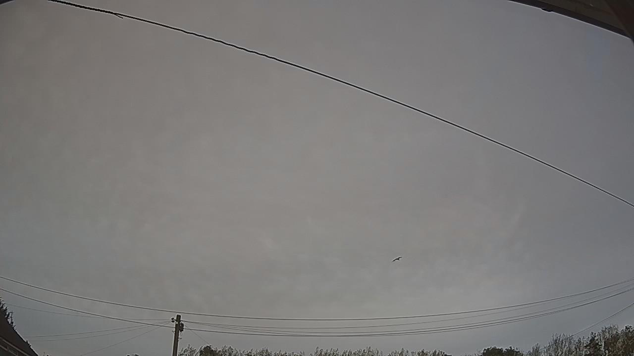 20260920_173052_cam2.jpg