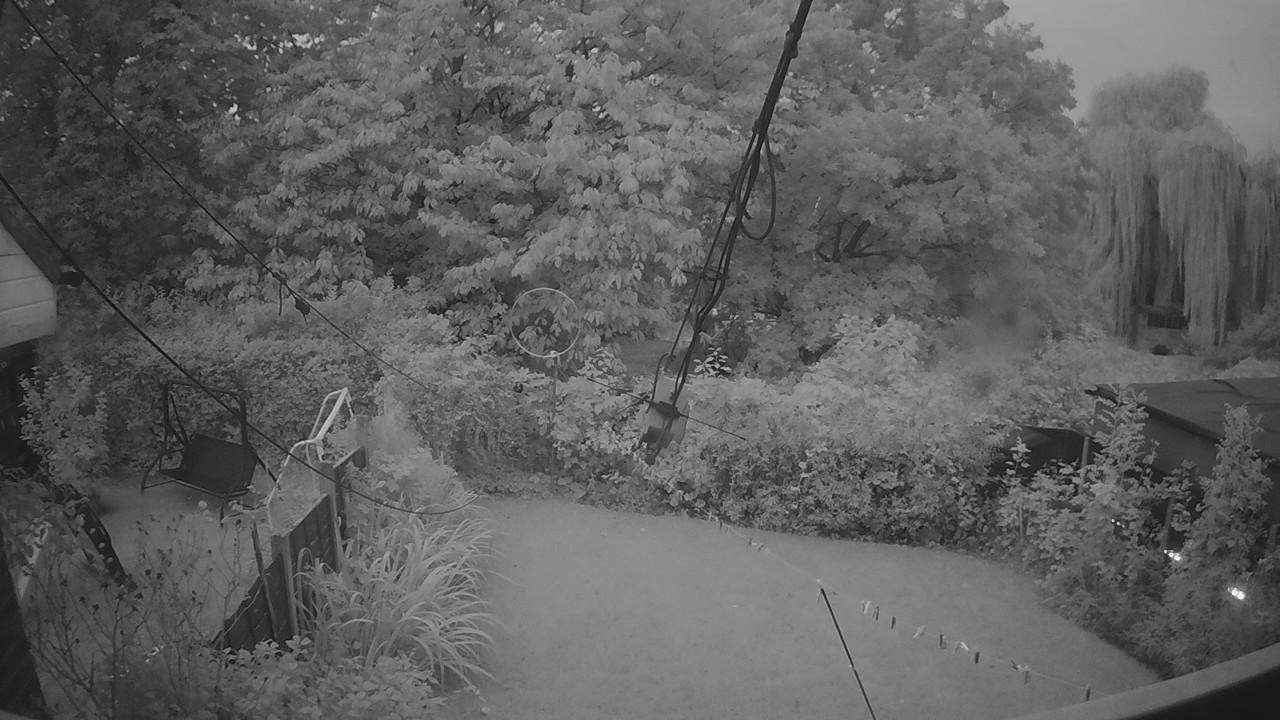 20260921_053011_cam1.jpg