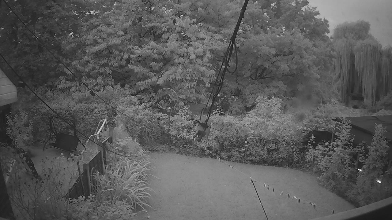 20260921_053456_cam1.jpg