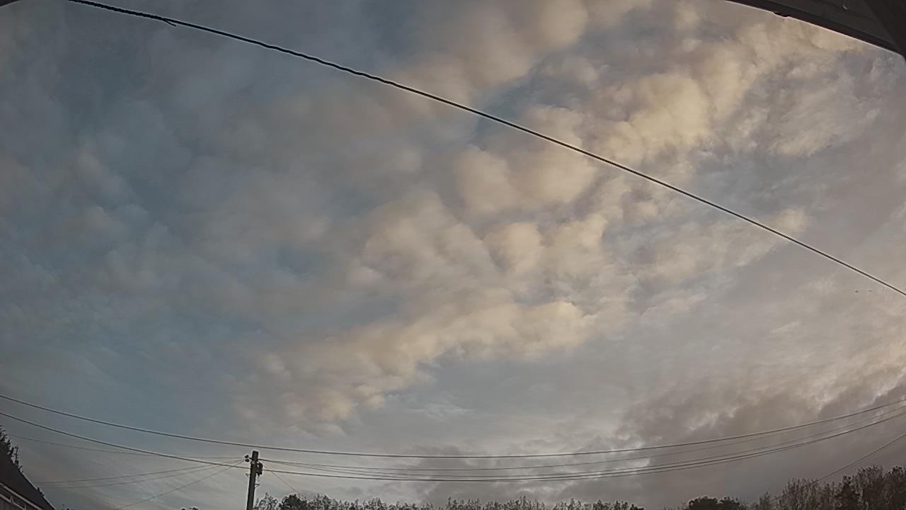 20260921_061749_cam2.jpg