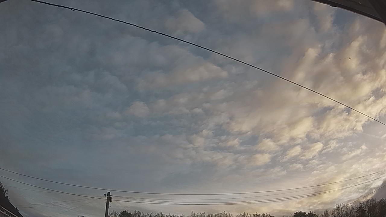 20260921_062233_cam2.jpg