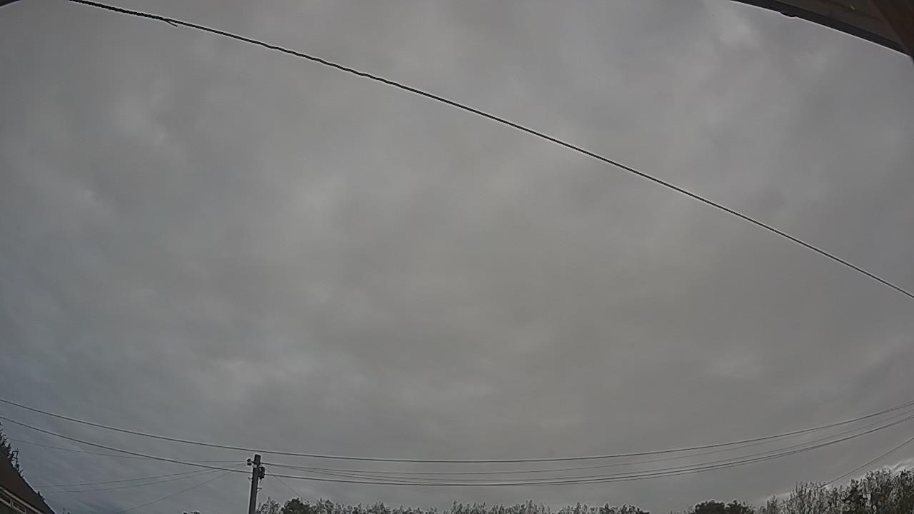 20260921_081227_cam2.jpg