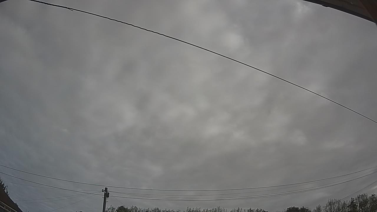 20260921_081655_cam2.jpg