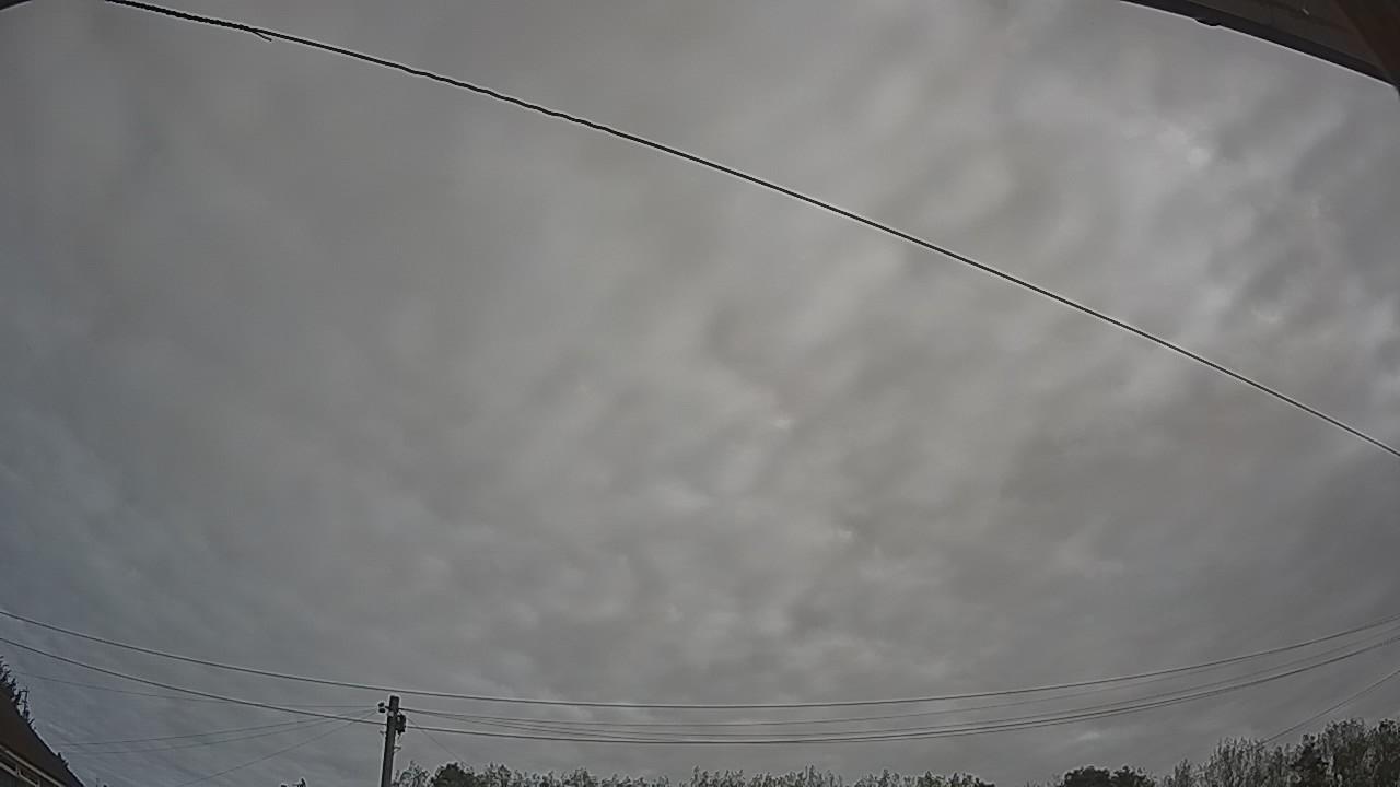 20260921_082122_cam2.jpg