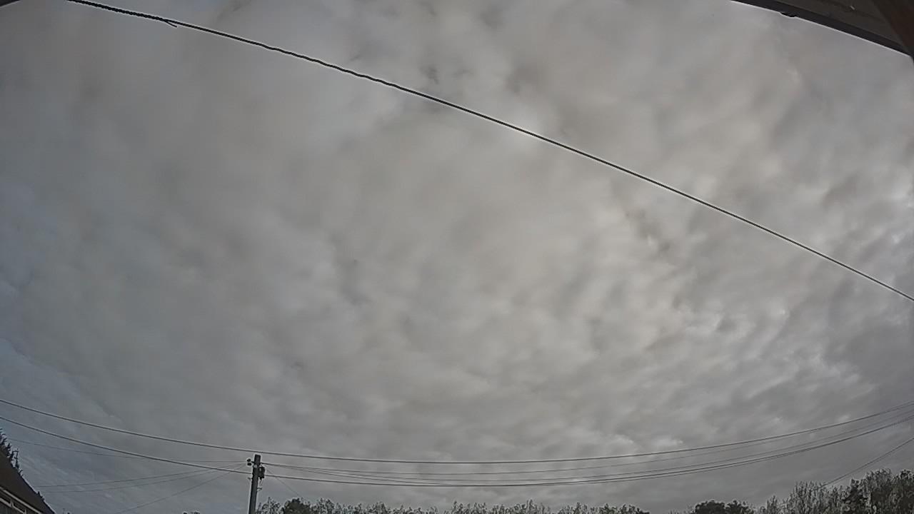 20260921_082550_cam2.jpg