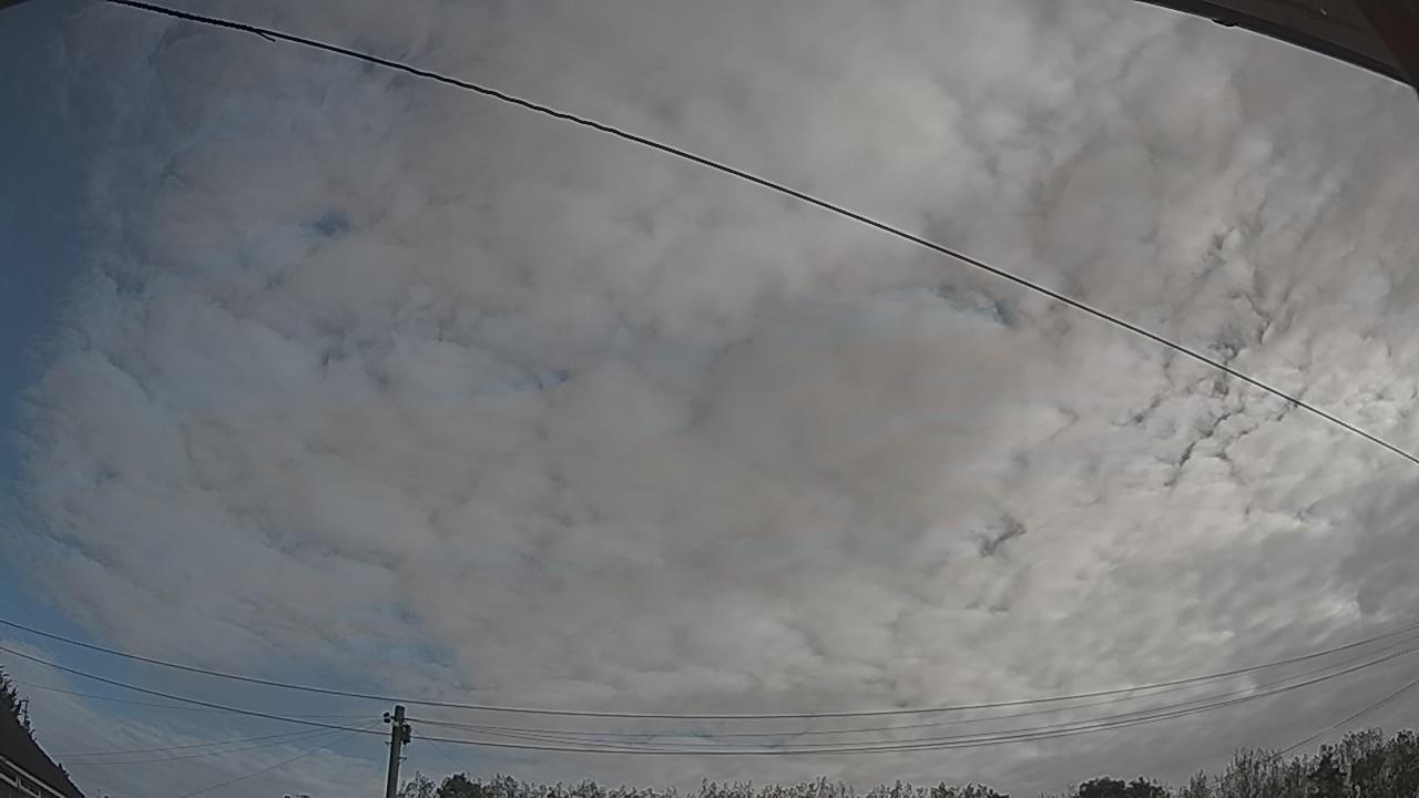 20260921_083026_cam2.jpg