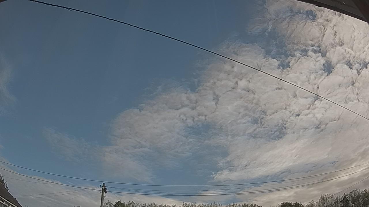 20260921_083502_cam2.jpg