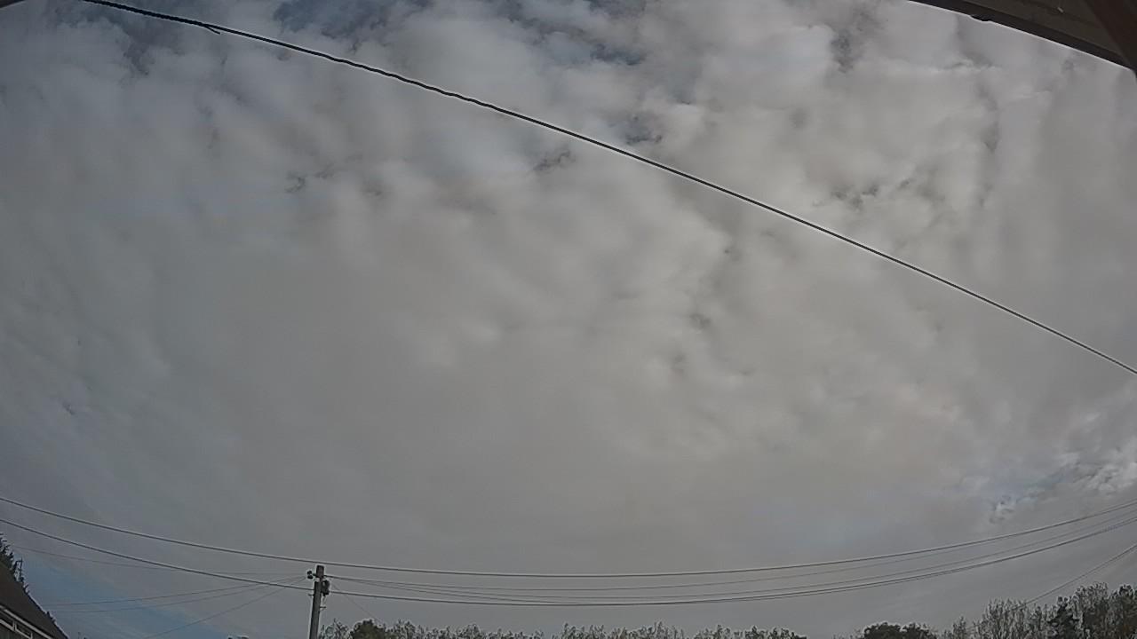 20260921_090712_cam2.jpg