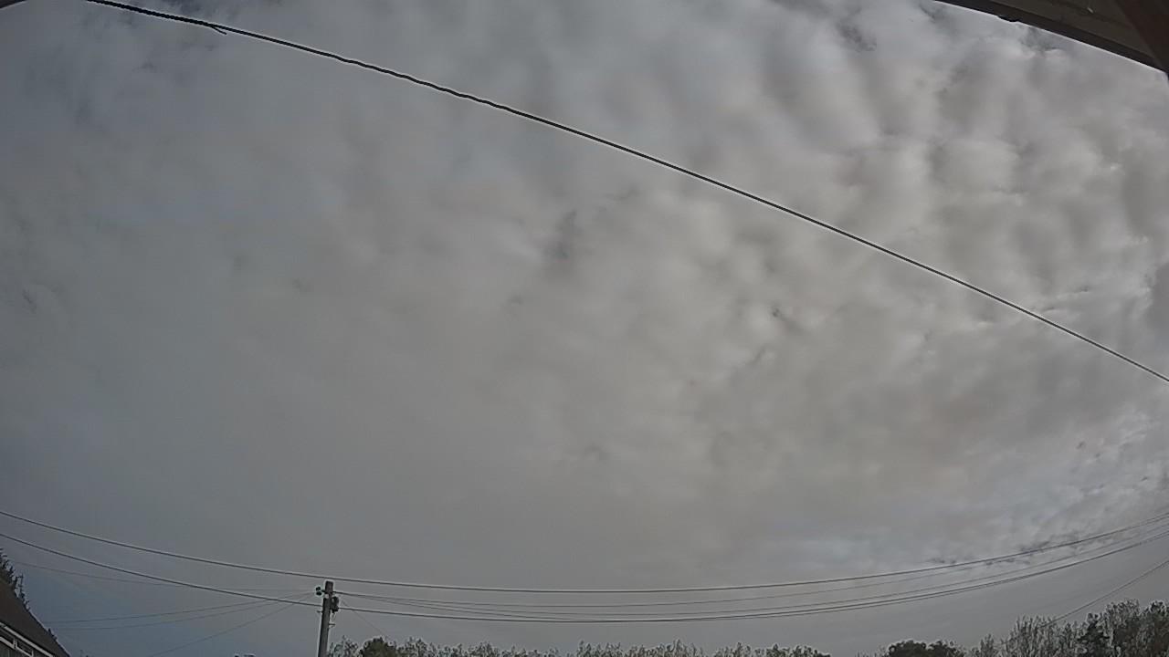 20260921_091148_cam2.jpg