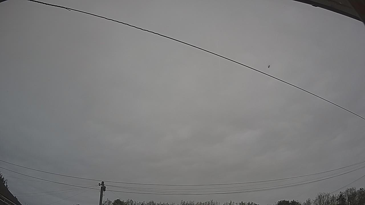 20260921_120701_cam2.jpg