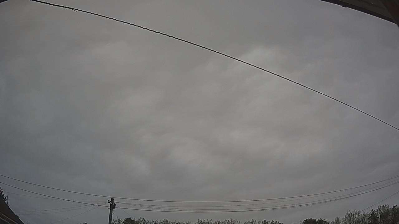 20260921_135342_cam2.jpg