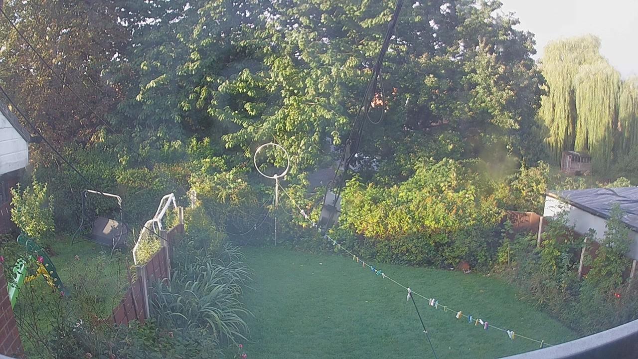 20260922_070040_cam1.jpg