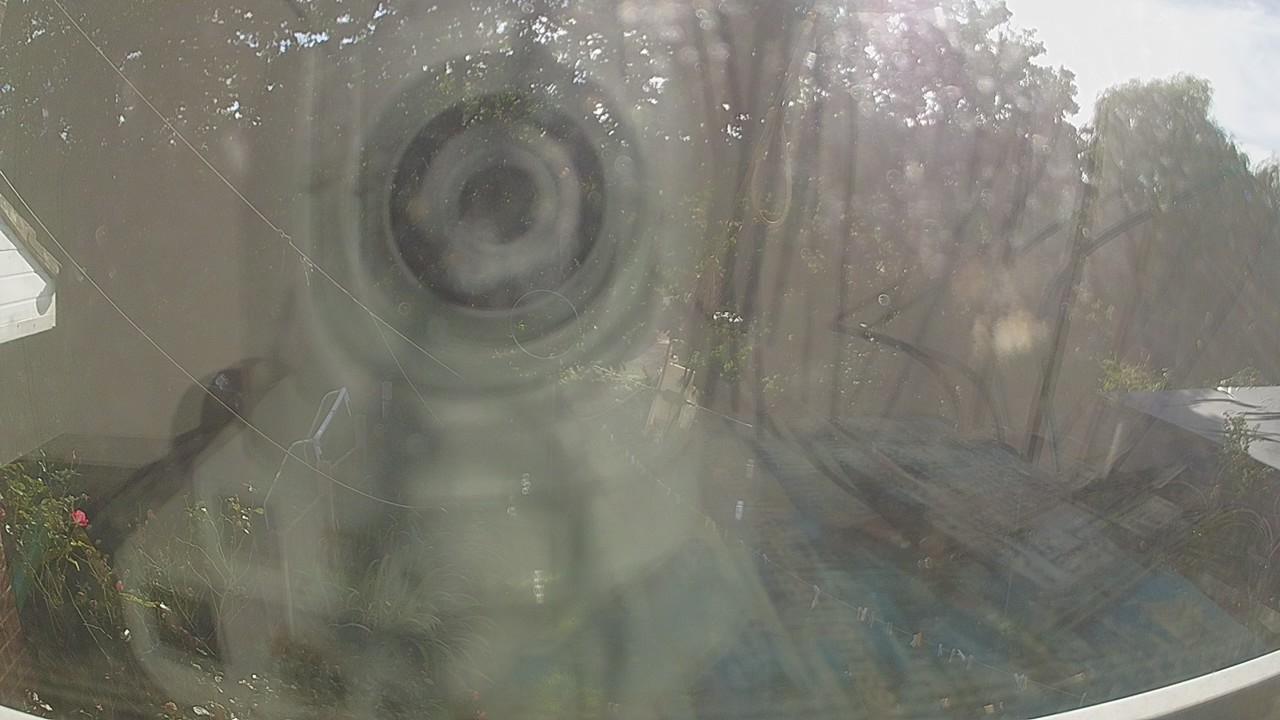20260922_150719_cam1.jpg