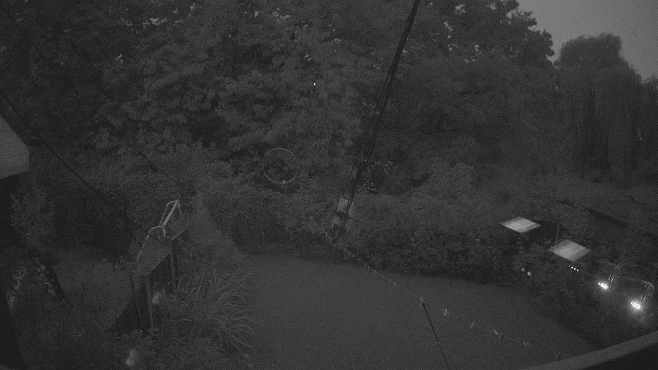 20260923_052649_cam1.jpg