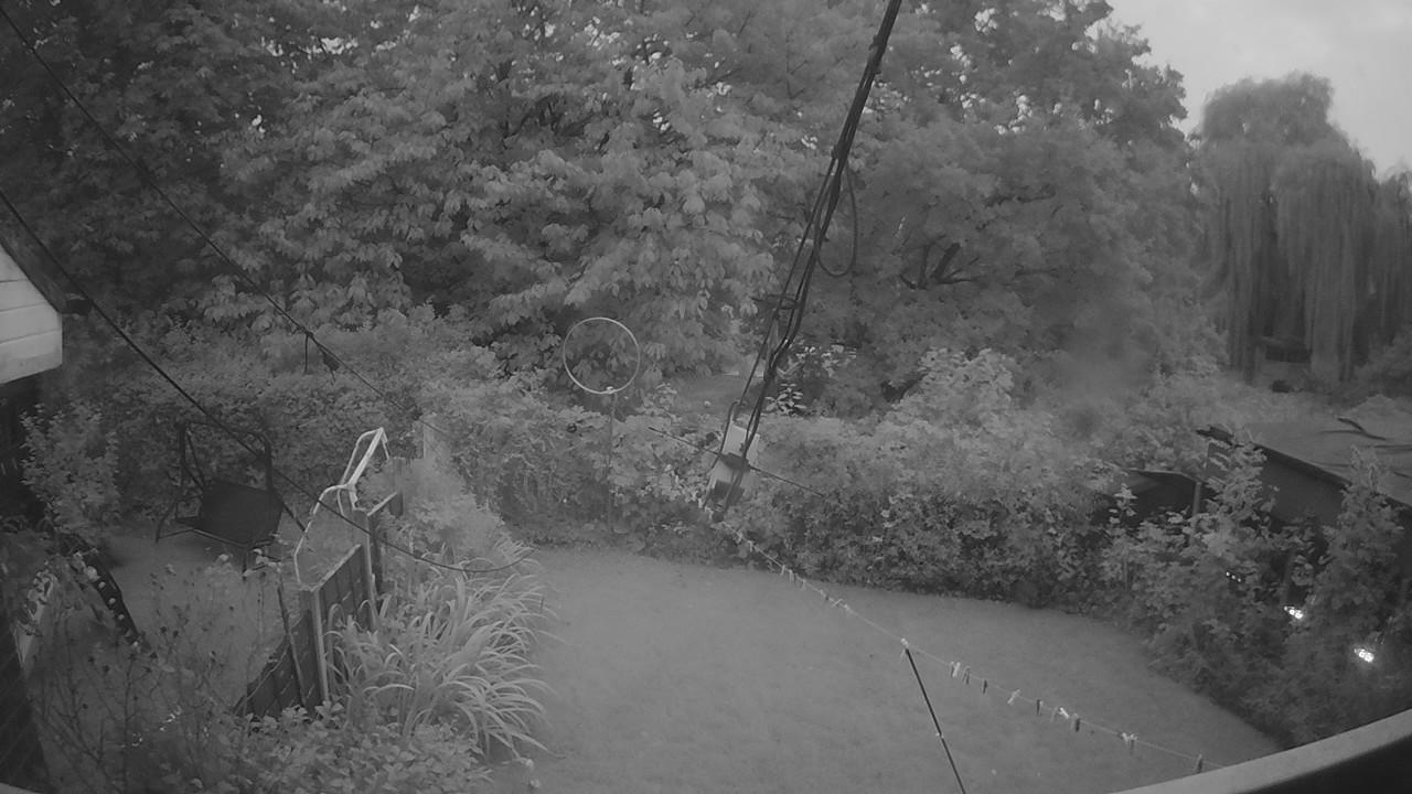 20260923_054513_cam1.jpg