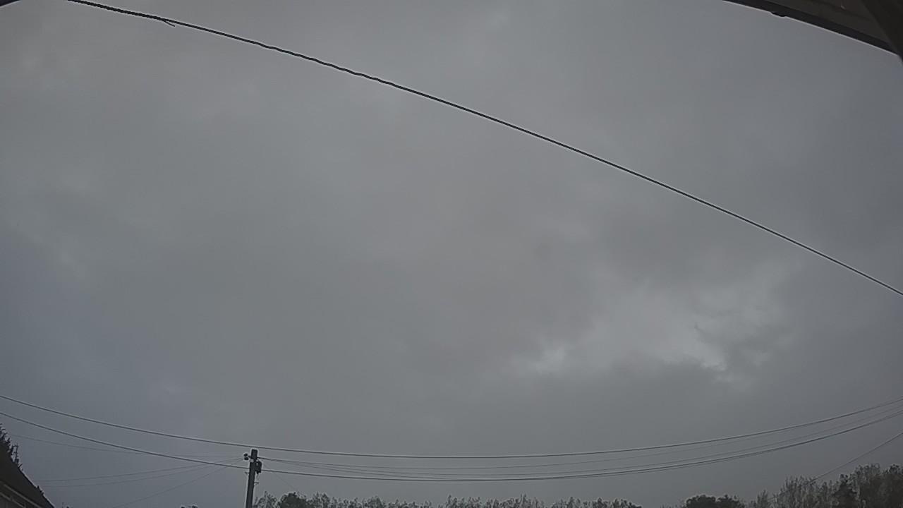 20260923_054950_cam2.jpg
