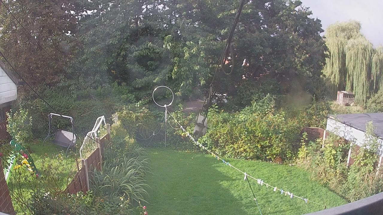 20260923_081009_cam1.jpg