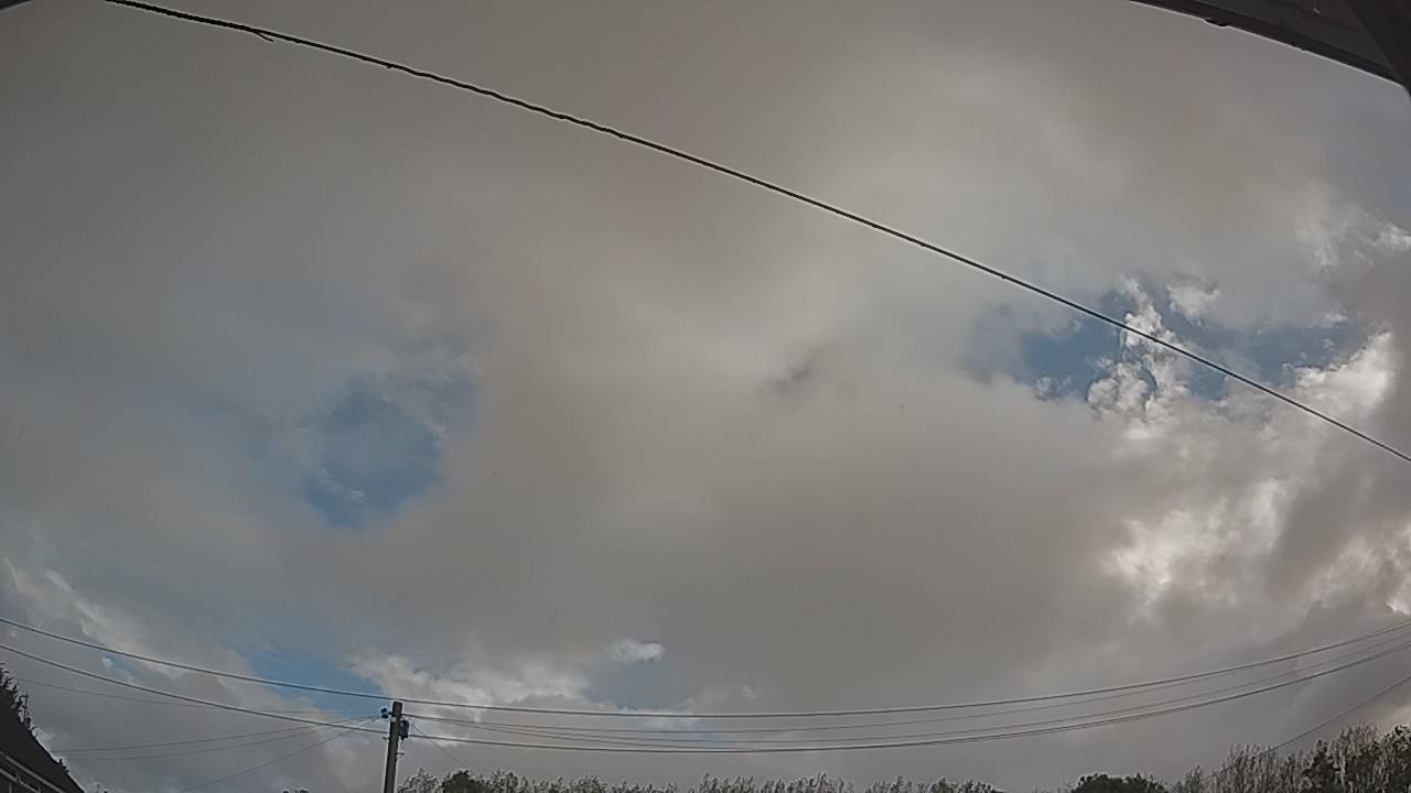 20260923_082616_cam2.jpg