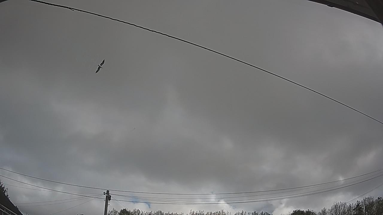 20260923_082941_cam2.jpg