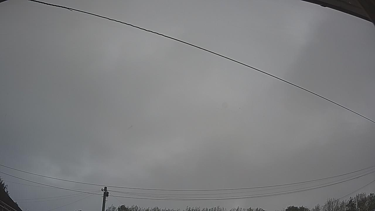 20260923_090826_cam2.jpg