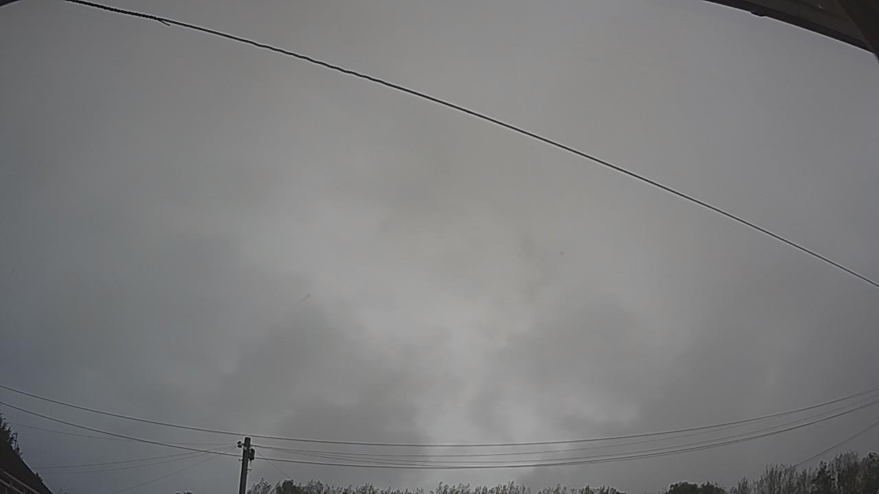 20260923_091217_cam2.jpg