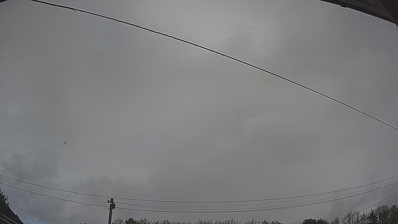 20260923_100258_cam2.jpg