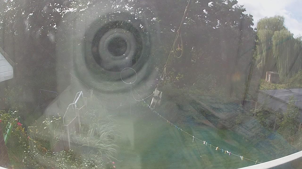 20260923_113336_cam1.jpg